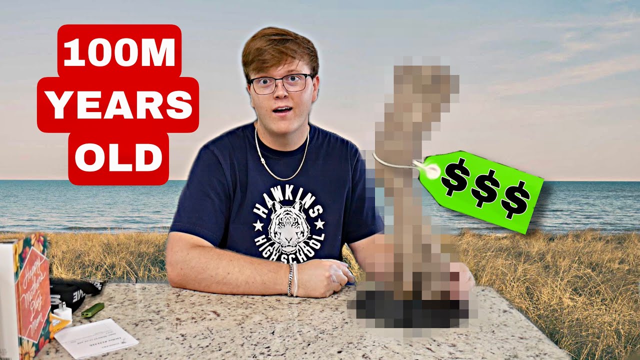 Authentic Dinosaur Fossil Unboxing & Ownership Guide