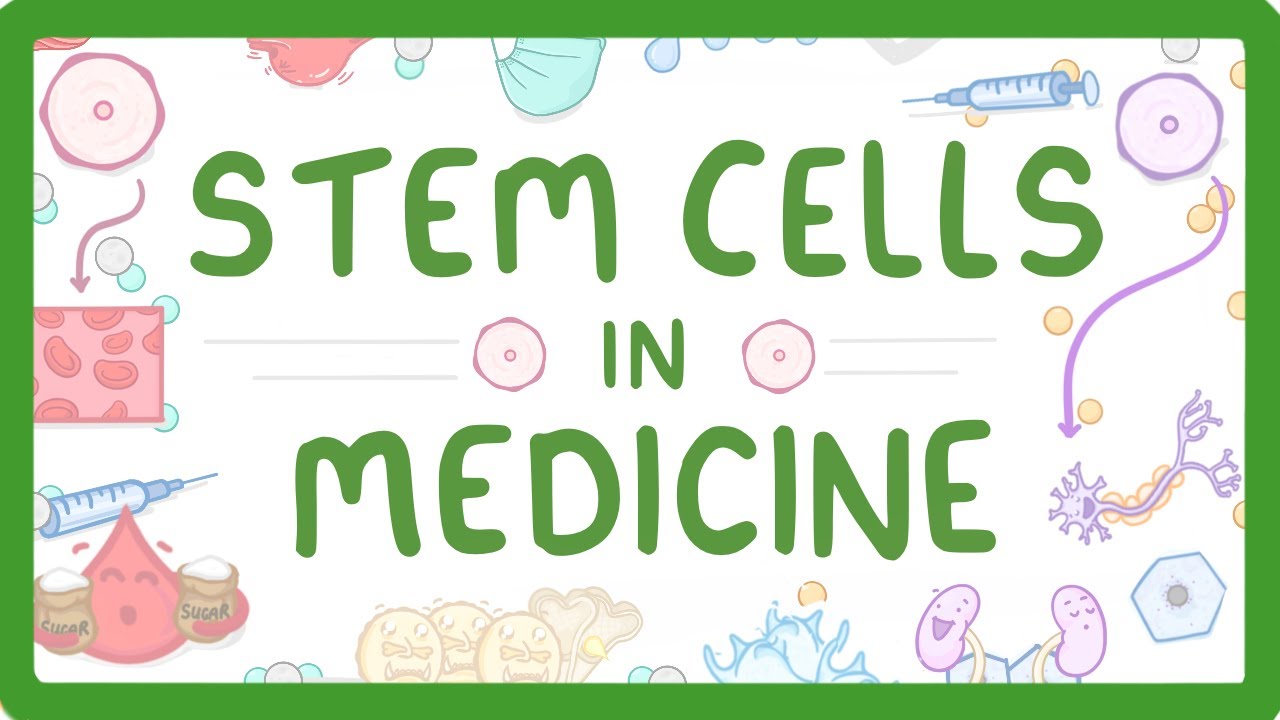 Stem Cell Therapy Guide: Benefits, Risks & Ethical Solutions