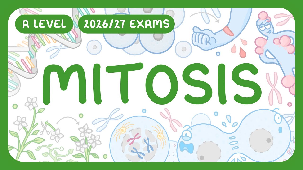 Mitosis vs Cytokinesis: Stages, Differences & Cancer Link