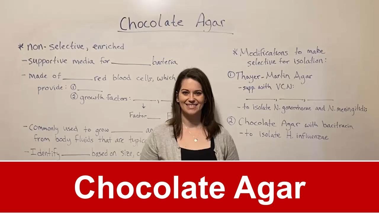 Chocolate Agar: Uses, Composition, and Bacterial Isolation Techniques