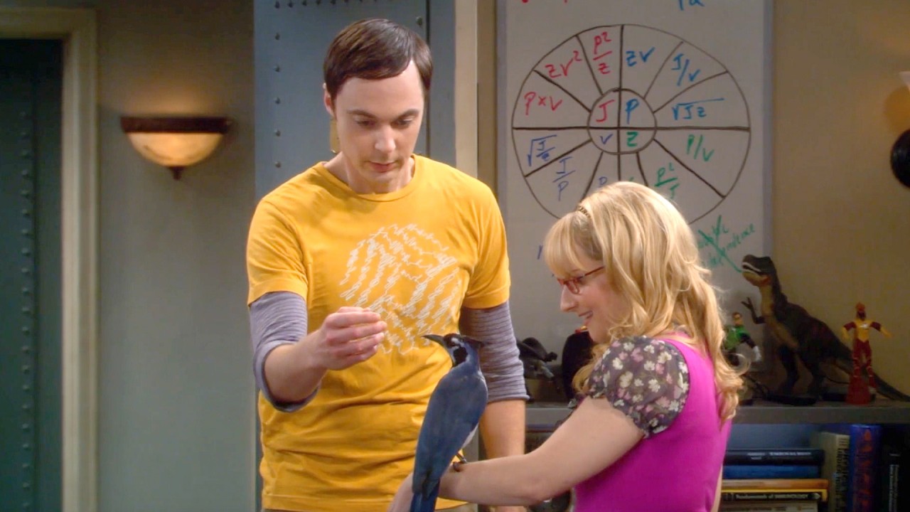 Sheldon's Surprising Negotiation Skills in The Big Bang Theory