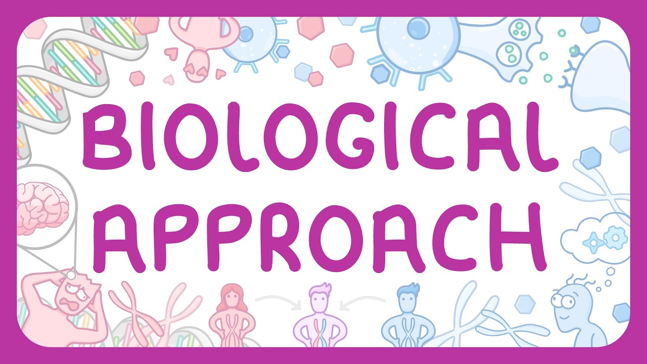 Biological Approach Psychology: Key Factors Influencing Behavior