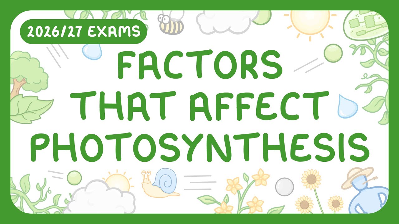 Photosynthesis Limiting Factors Explained with Graphs