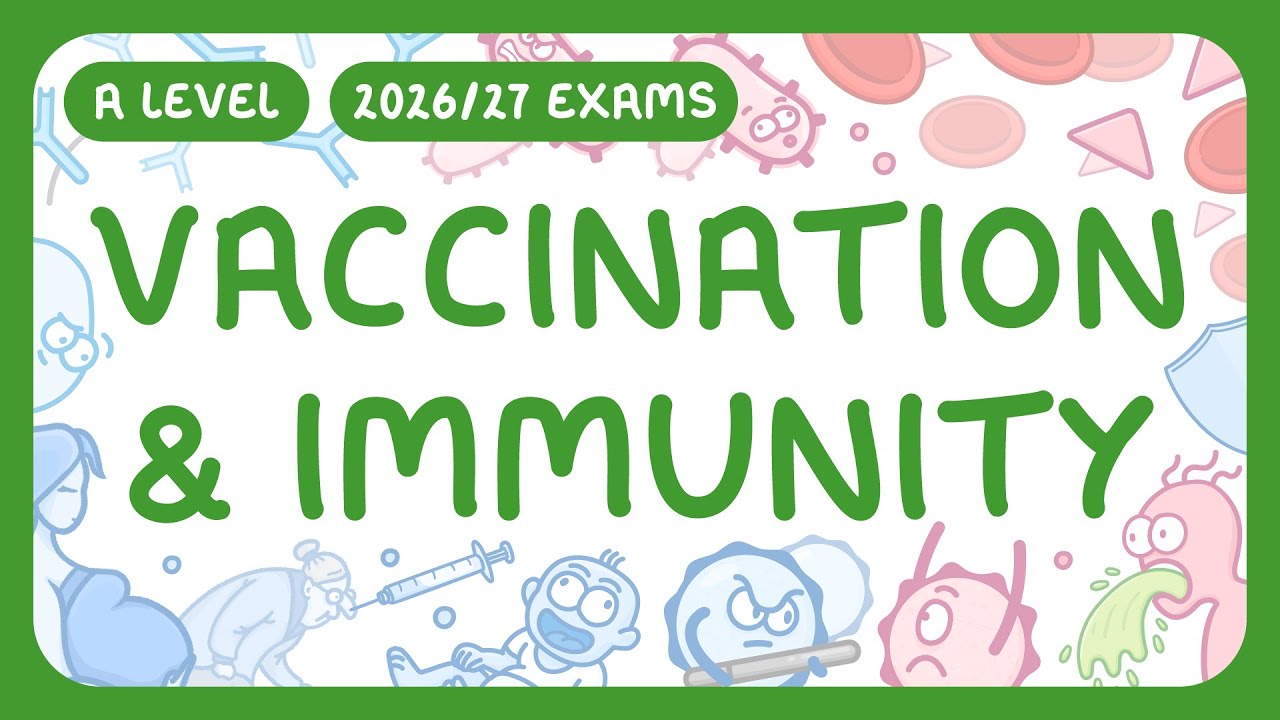 How Vaccines Build Immunity and Protect Communities