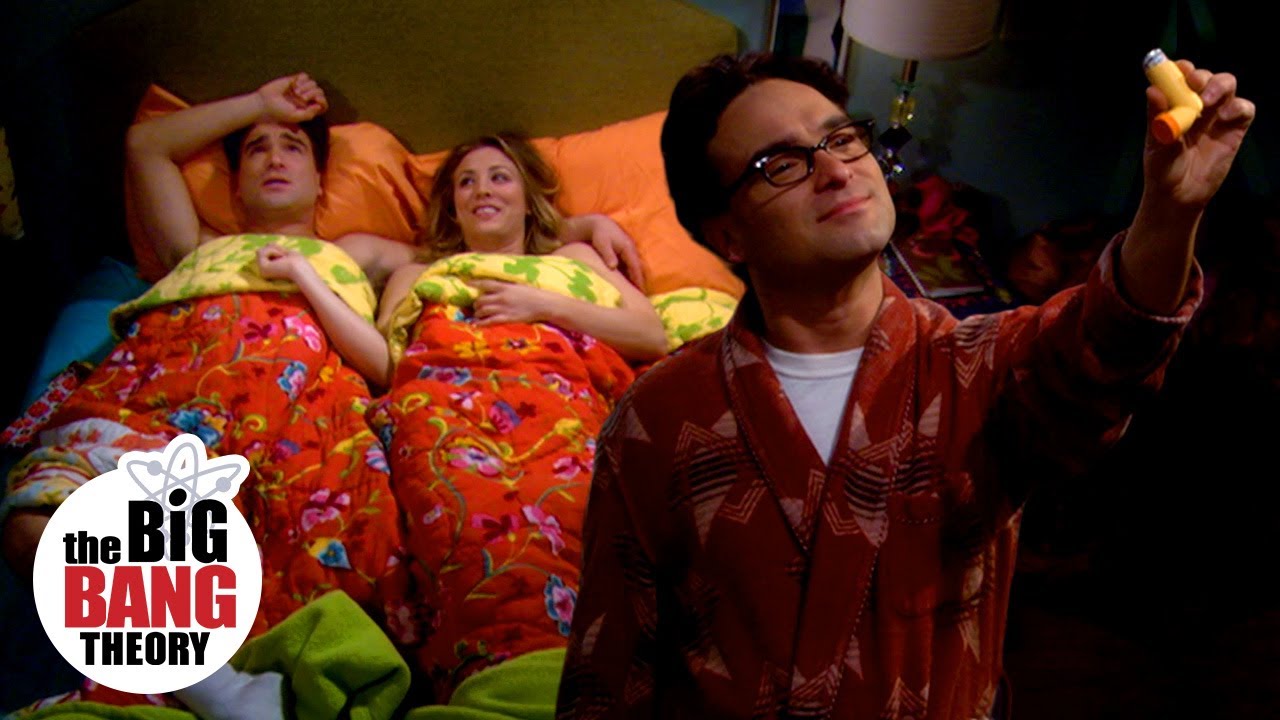 Leonard's Software Metaphor for Love in Big Bang Theory