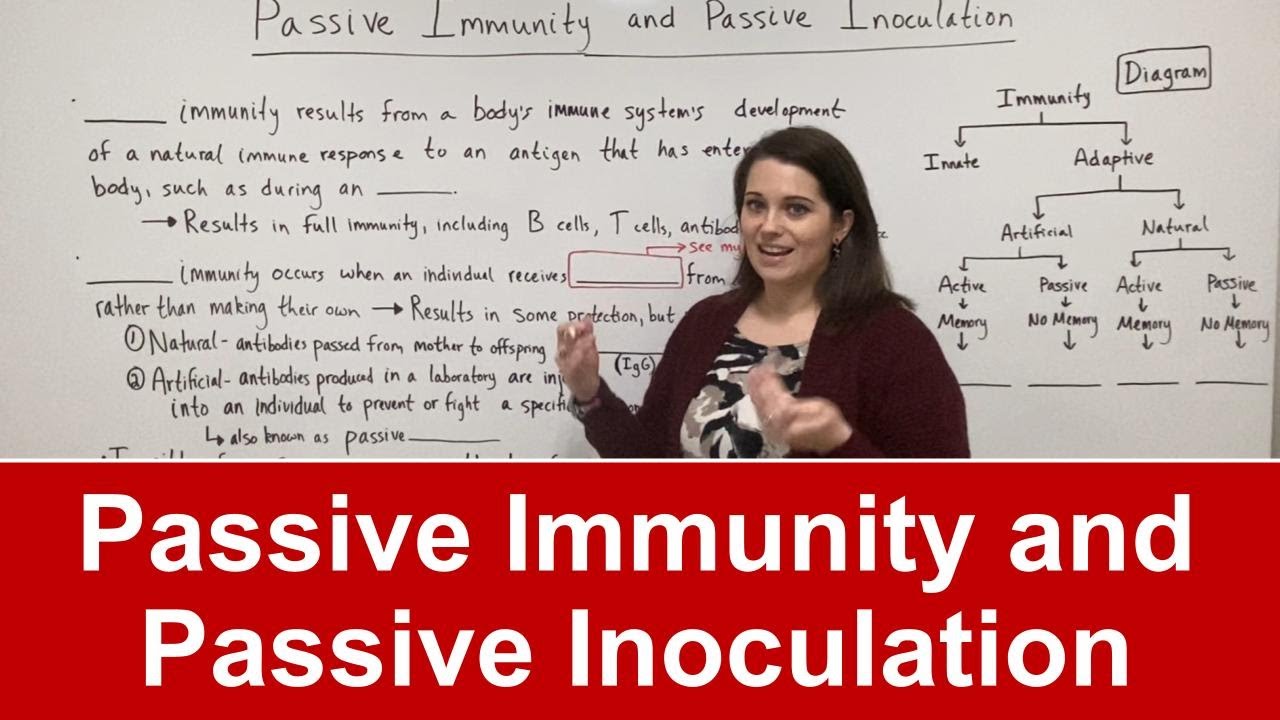 Passive vs Active Immunity: Key Differences Explained