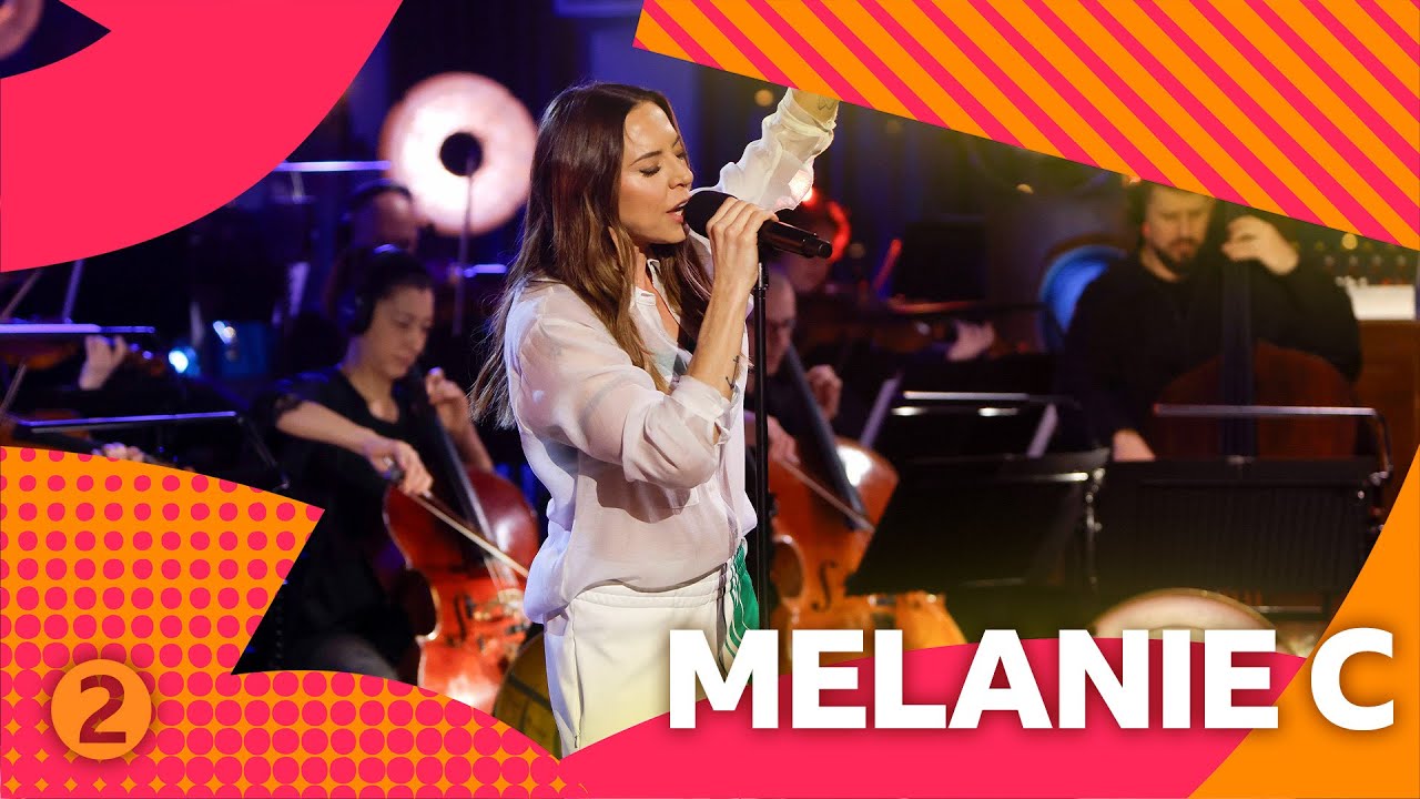 Miley Cyrus' What Could Possibly Go Wrong Lyrics Meaning