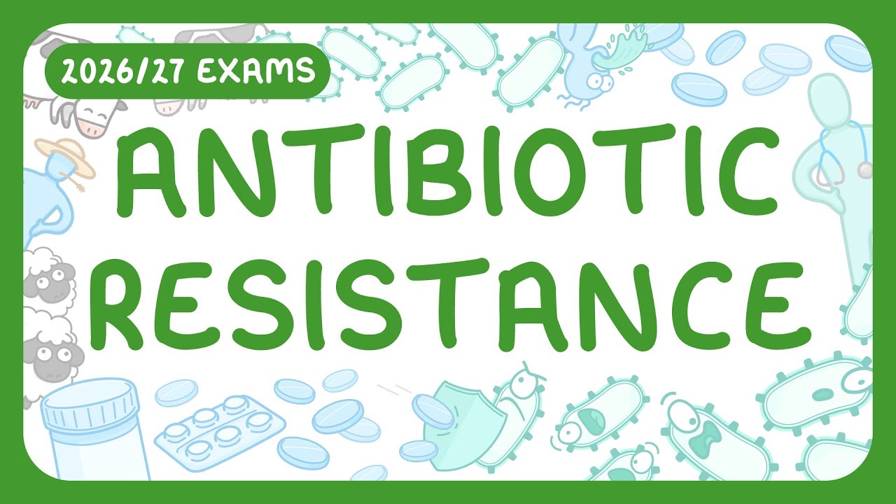 Antibiotic Resistance Explained: How Superbugs Evolve & Why It Matters