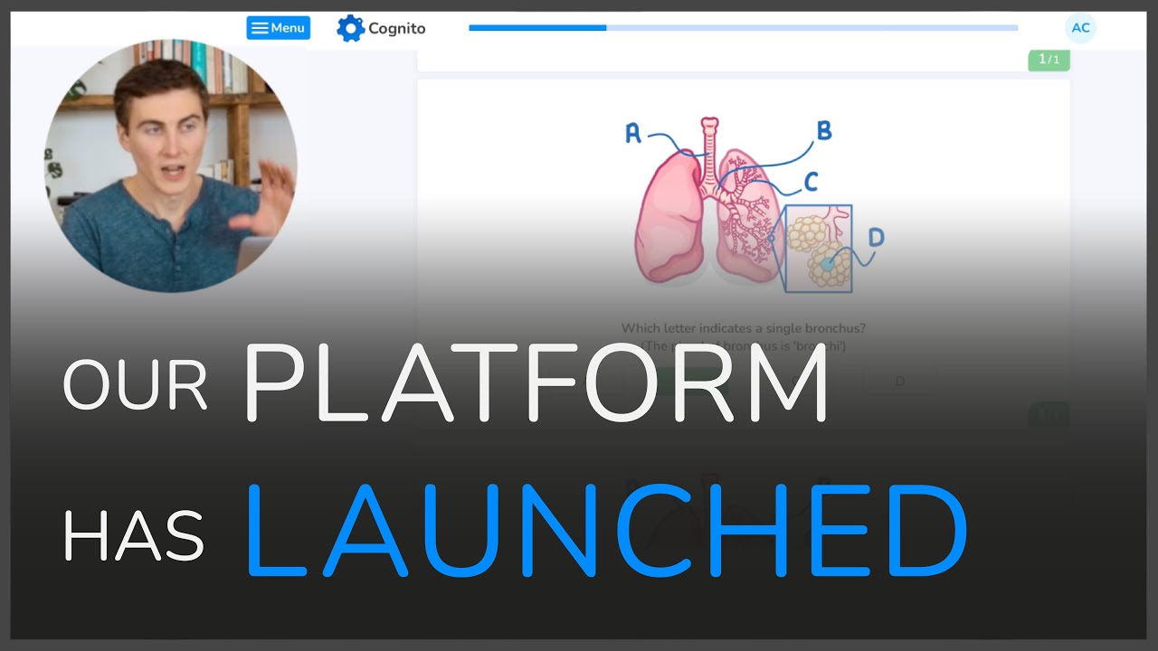 Free Revision Platform Guide: CognitoEdu Features & How It Works