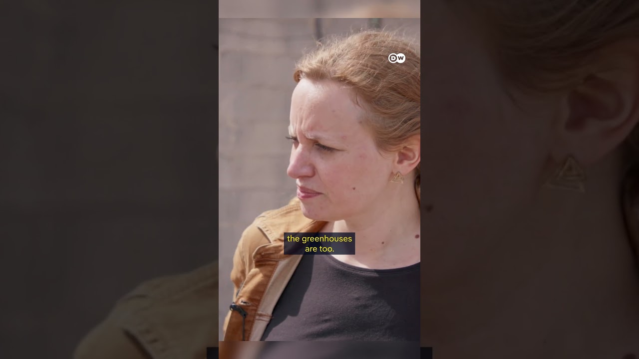 Spain's Plastic Farms: Europe's Hidden Labor and Environmental Crisis