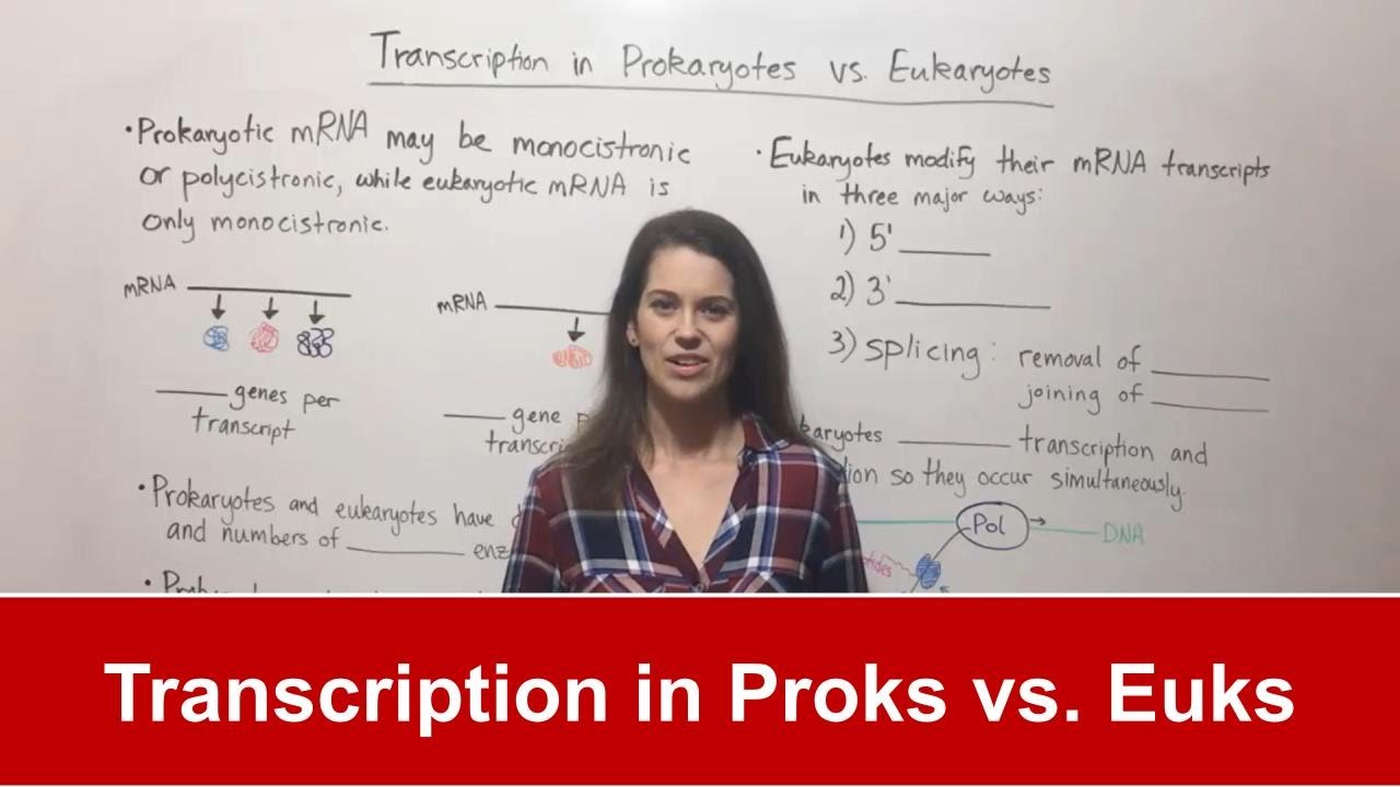 Prokaryotic vs Eukaryotic Transcription: 5 Key Differences Explained