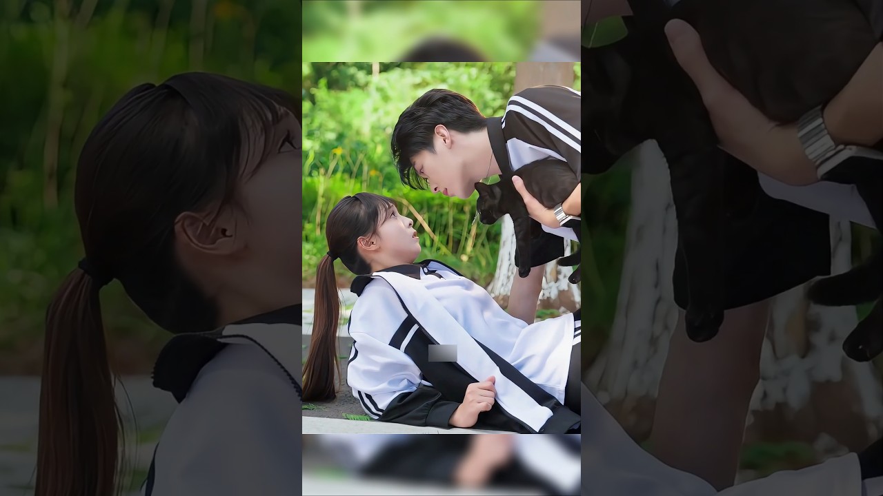 Unexpected Love: Rescuing a Cat Leads to Lifelong Connection