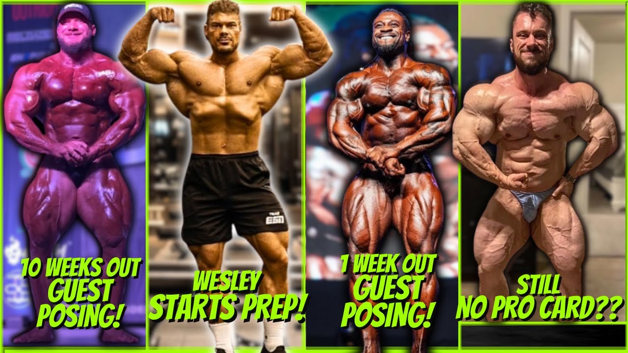 Top Bodybuilders: 2024 Updates & Olympia Outlook