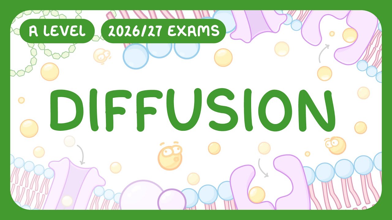 Cell Diffusion Explained: Types, Processes & Rate Factors
