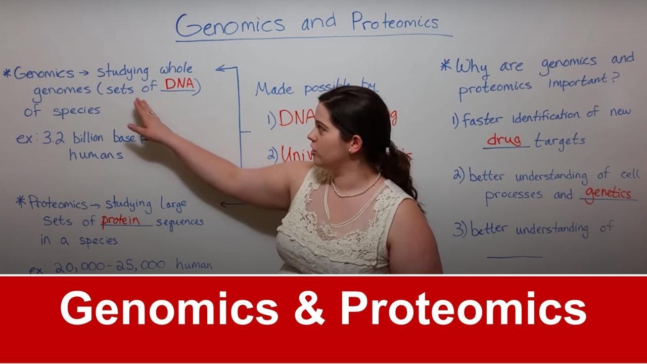 Genomics vs Proteomics Explained: Differences & Biological Impact