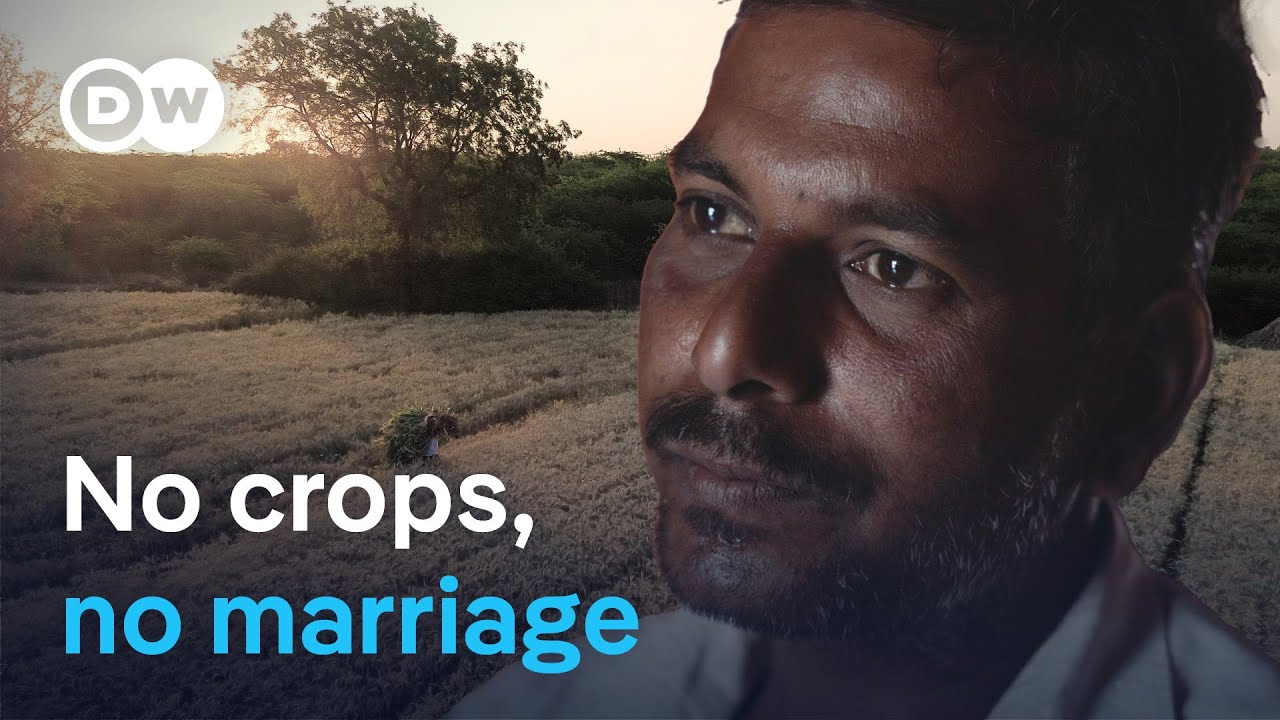 Climate Change's Hidden Toll: India's Unmarriageable Farmers