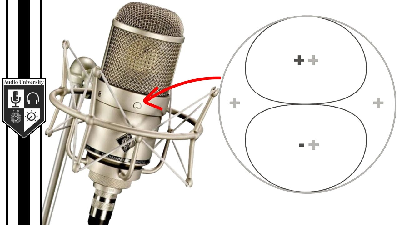 Unidirectional Mic Physics: Pressure + Gradient Explained