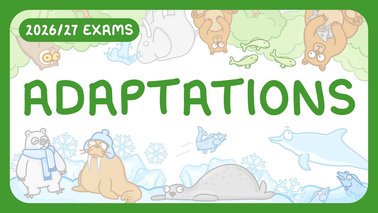 Mastering Adaptations: Structural, Behavioral & Functional Types Explained