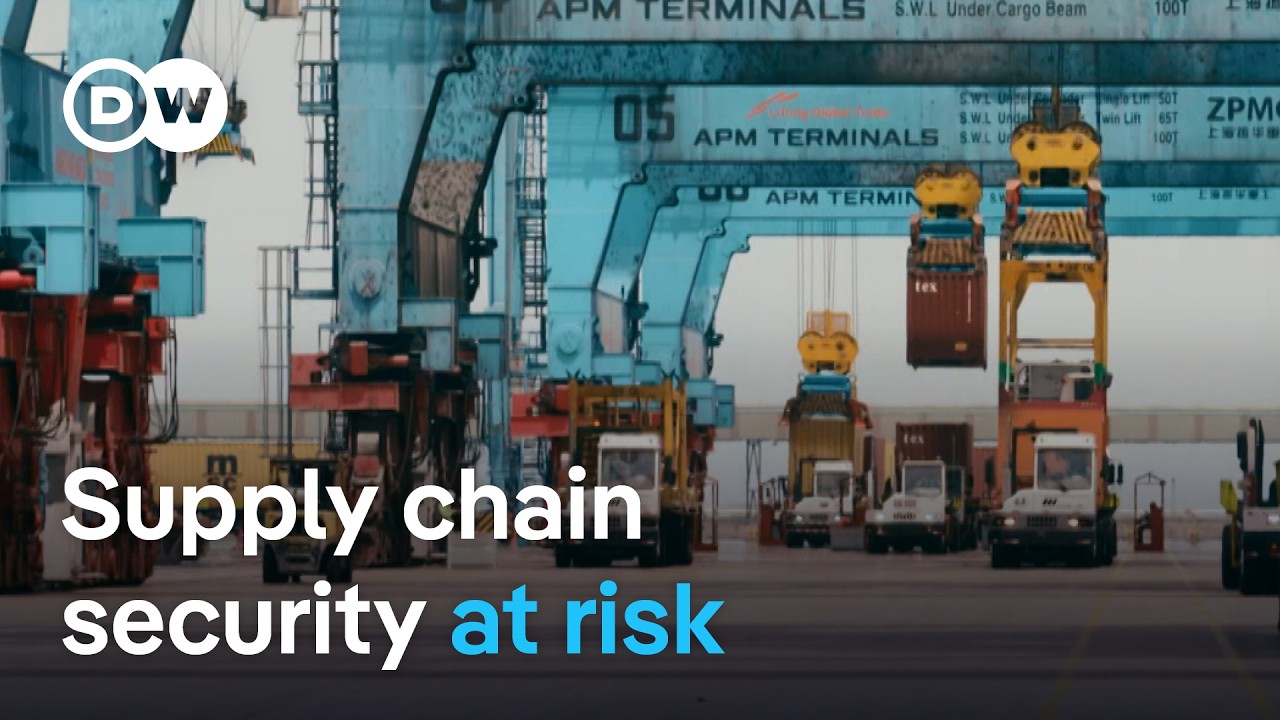 Sustainable Timber Supply Chains: Protecting Rainforests & Economies