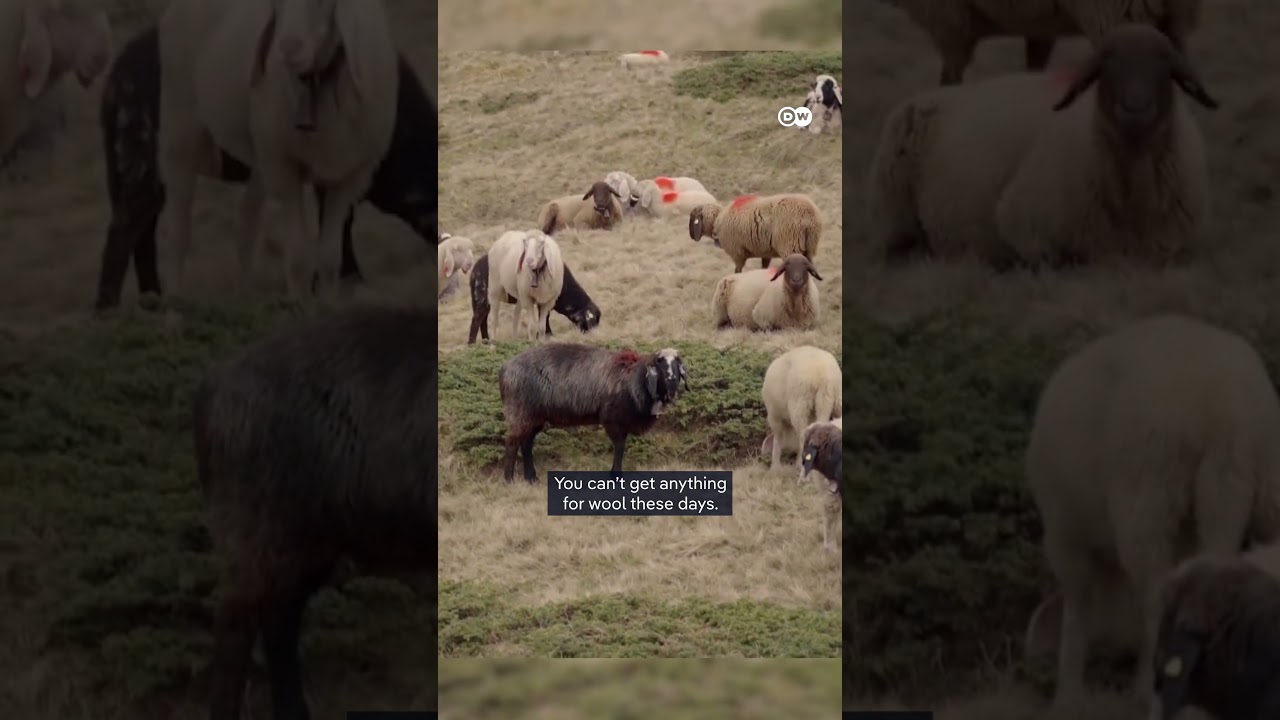 5 Natural Ways to Reduce Stress Effectively Today