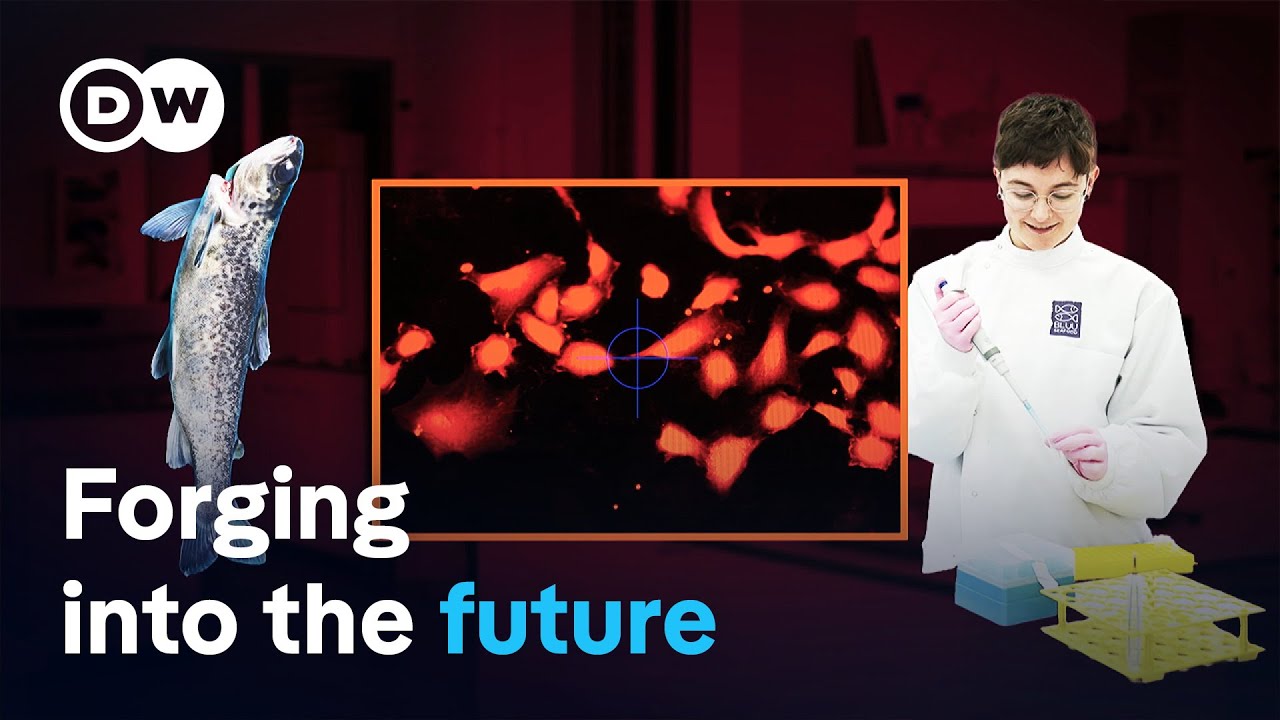 German Green Startups: Pioneering Sustainable Solutions