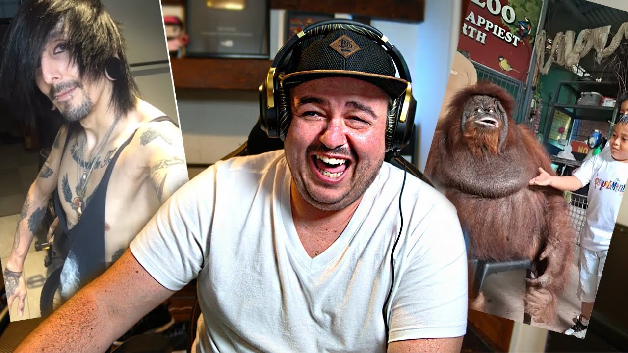 Daz's Viral Clip Rundown: Internet's Wildest Moments