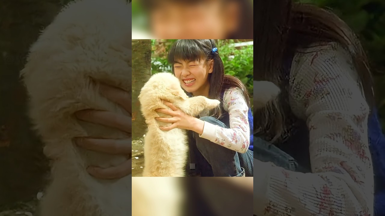 What a Dog's Lifetime Teaches Us About Love and Loss