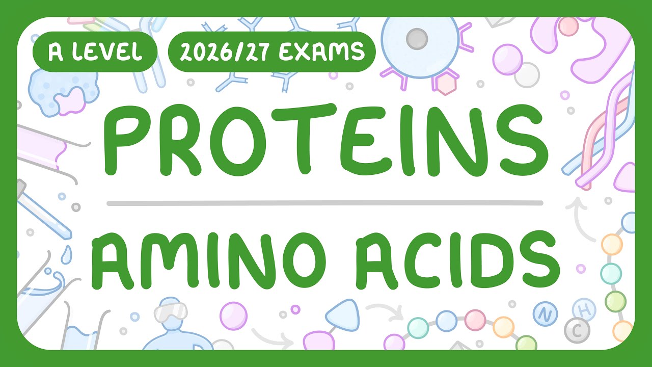 Protein Essentials: Structure, Functions & Testing Explained