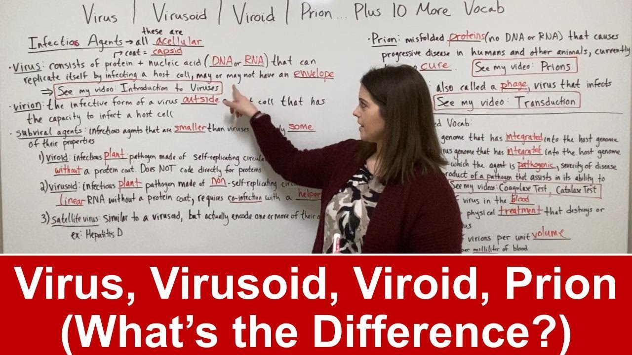 Key Virus and Infectious Agent Terms Explained for Biology Students