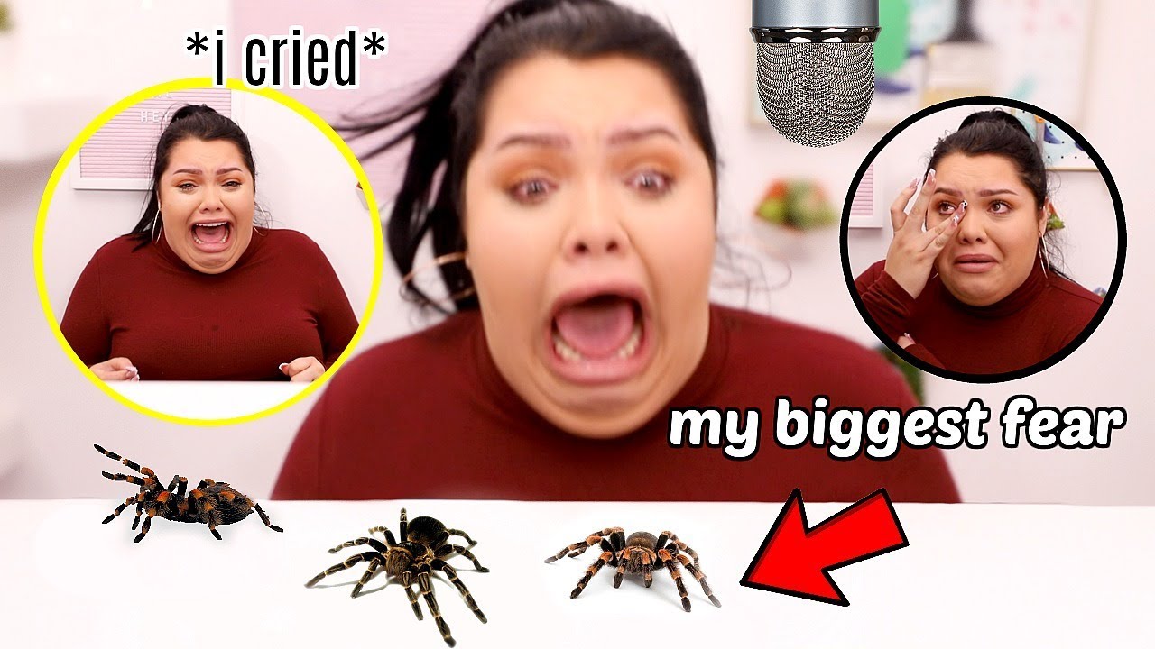 Mystery Bag ASMR Challenge Horror: When Spiders Strike!