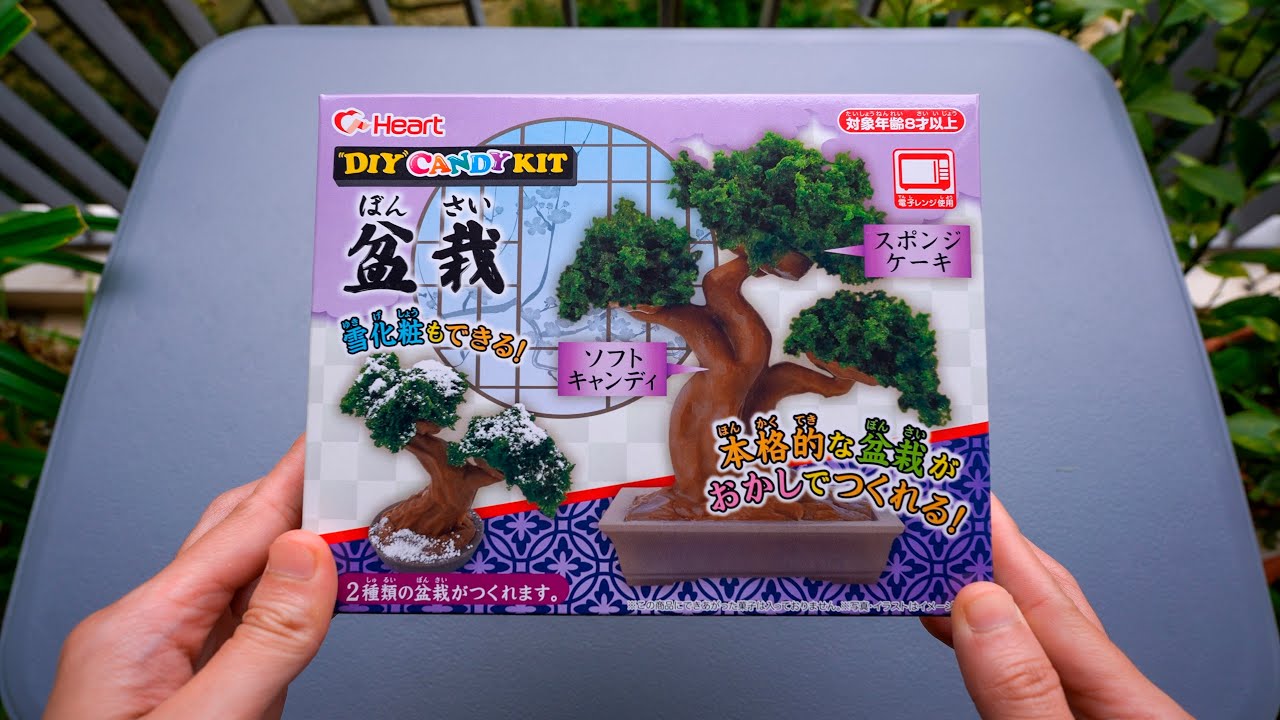 12 Bizarre Asian Candies Tested: From Poop Sweets to DIY Bonsai