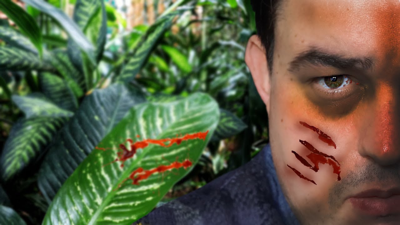 Essential Jungle Survival Game Guide: From Parasites to Escape