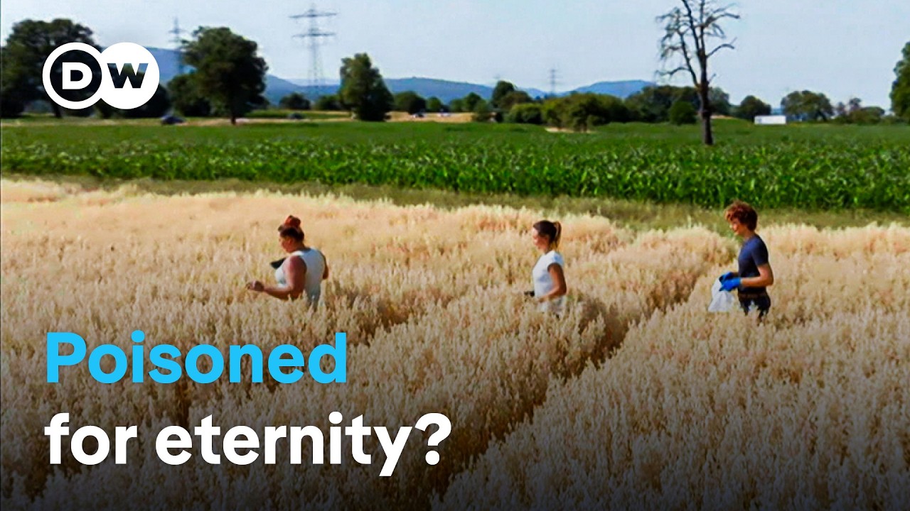 PFAS Contamination Crisis: Health Risks & Solutions