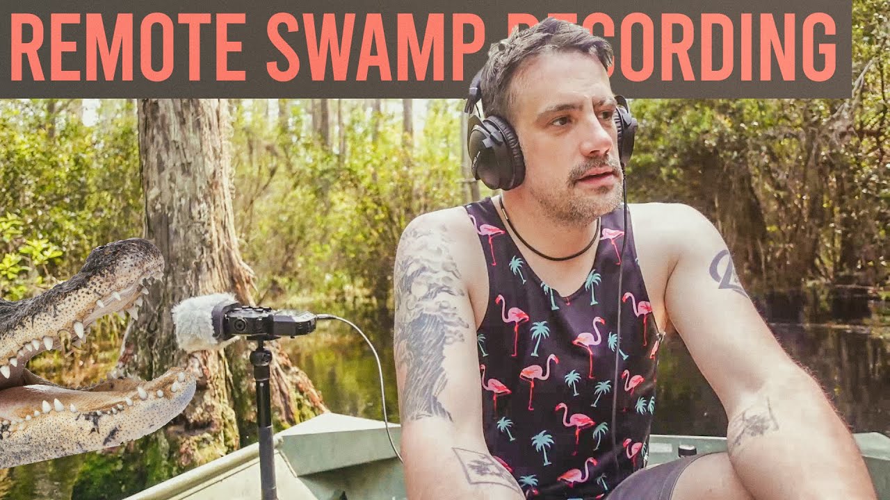 Finding Silent Sanctuaries: Ultimate Guide to Noise-Free Field Recording