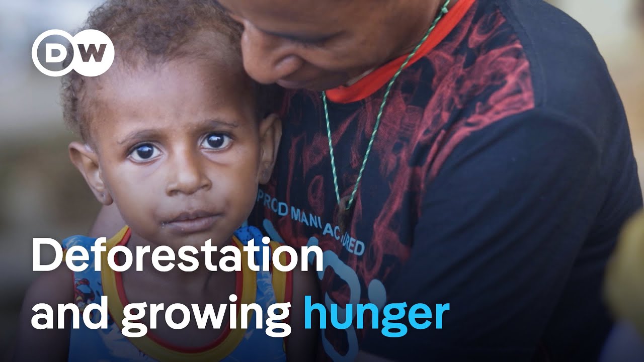 Stunting Crisis in Papua: Deforestation's Hidden Cost