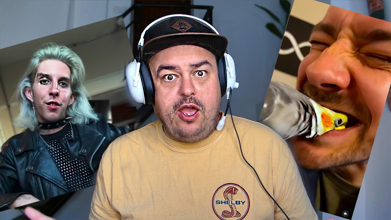 Daz Fails Try Not to Laugh Challenge | Viral Reaction Compilation