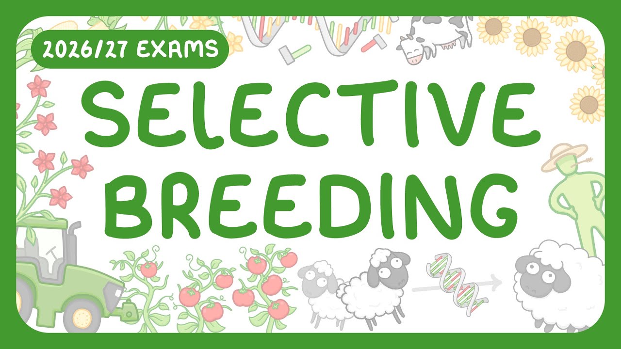 Selective Breeding Explained: Process, Pros & Cons