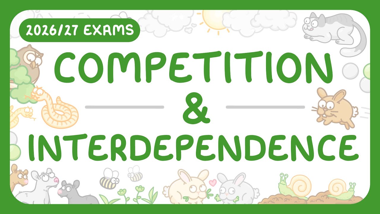 Ecology Relationships Explained: Organisms and Ecosystems