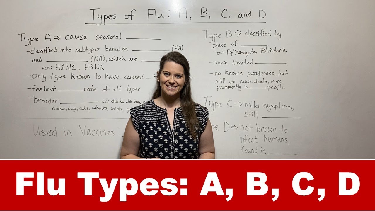 Influenza Types A, B, C, D: Differences, Risks & Prevention