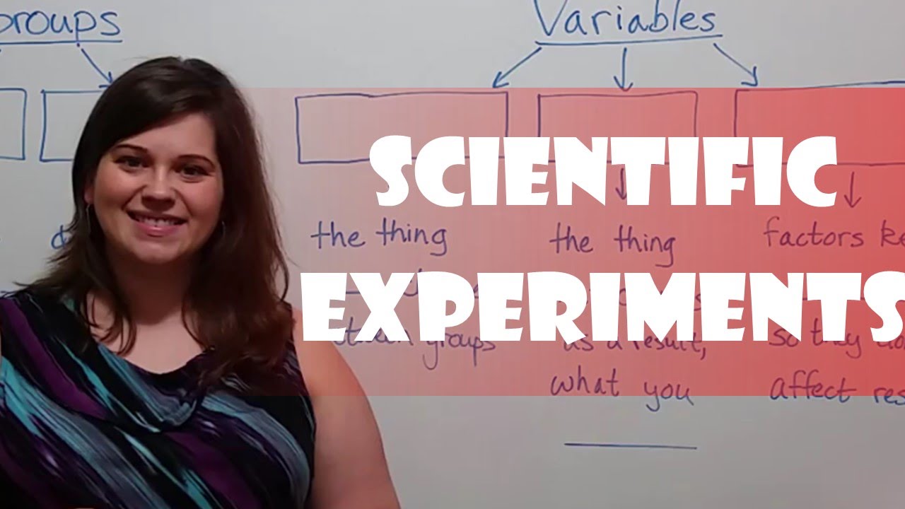 How to Design a Scientific Experiment: Groups & Variables Explained