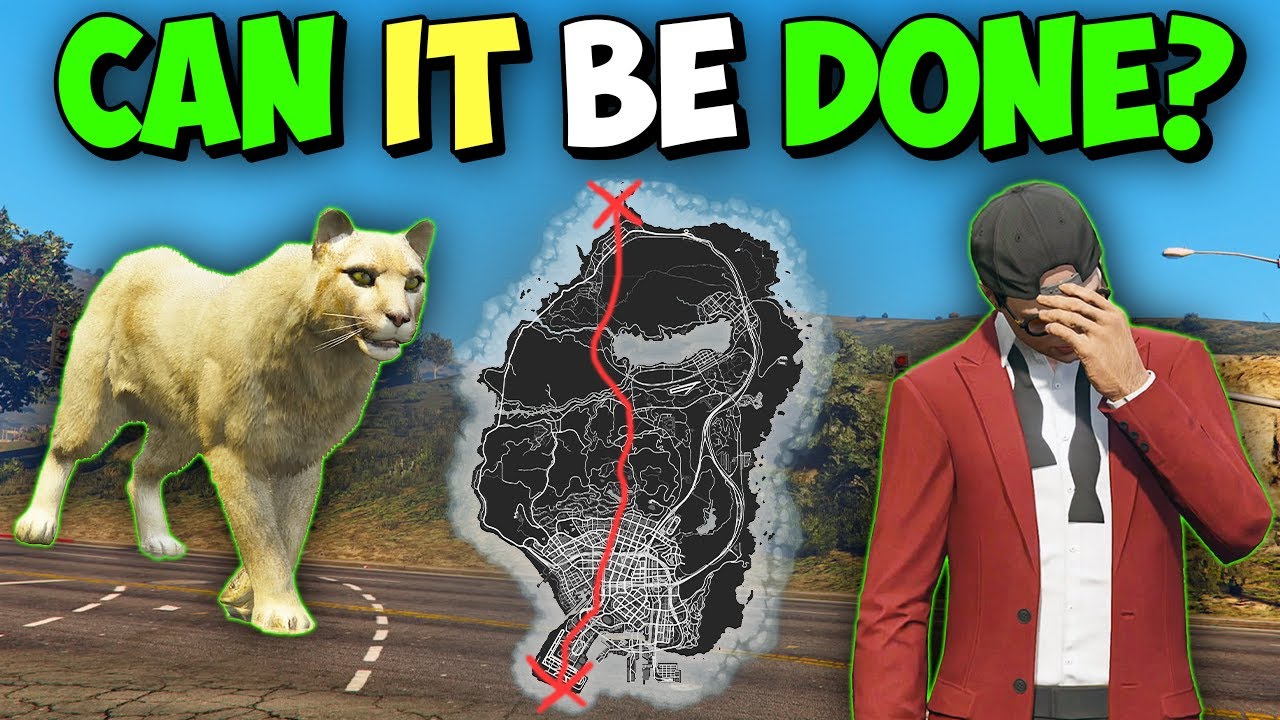 How to Guide a Mountain Lion Across GTA Online's Map