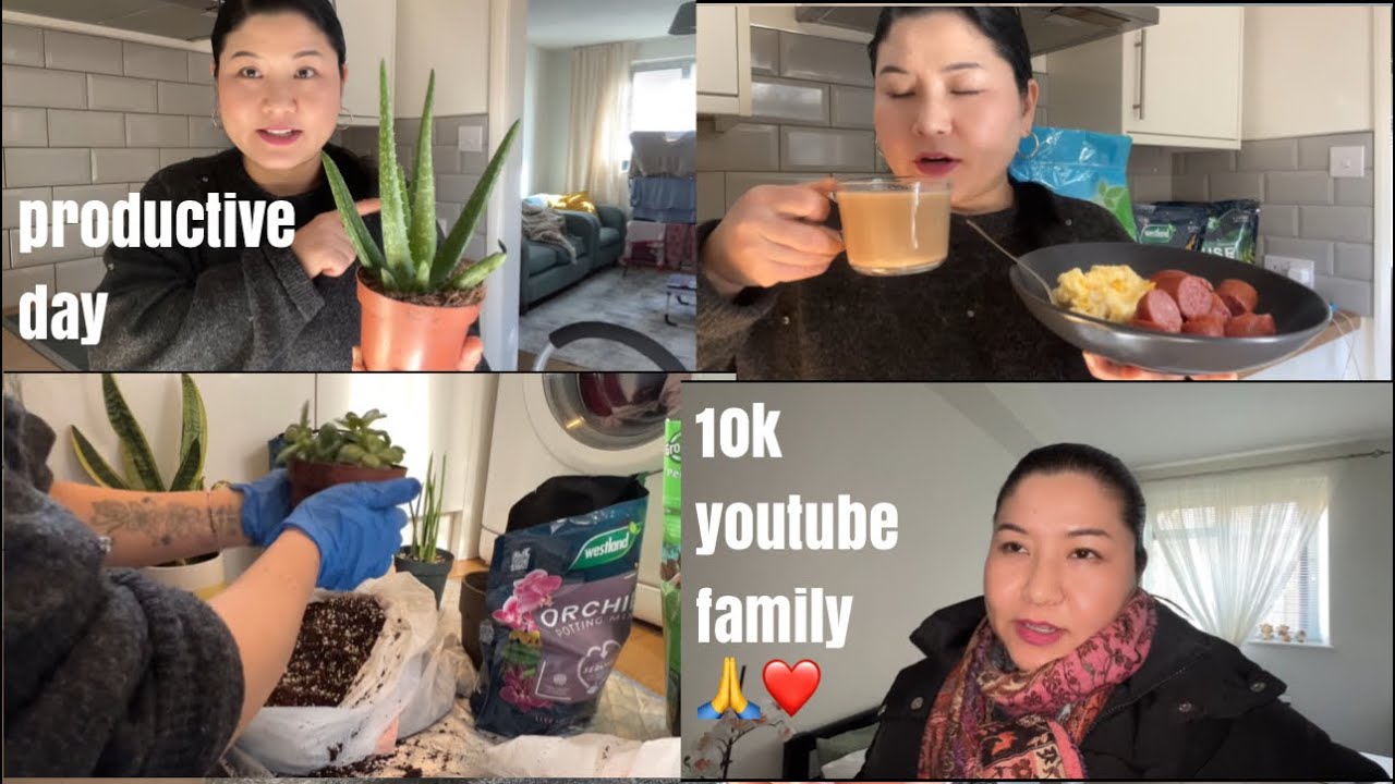 Smart Houseplant Shopping: Budget Tips & Care Guide