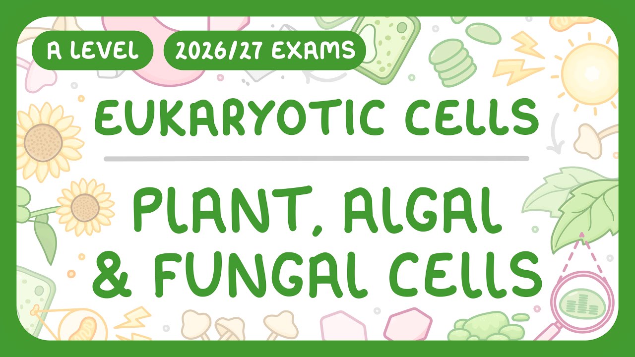 Plant vs Algal vs Fungal Cells: Structures and Key Differences
