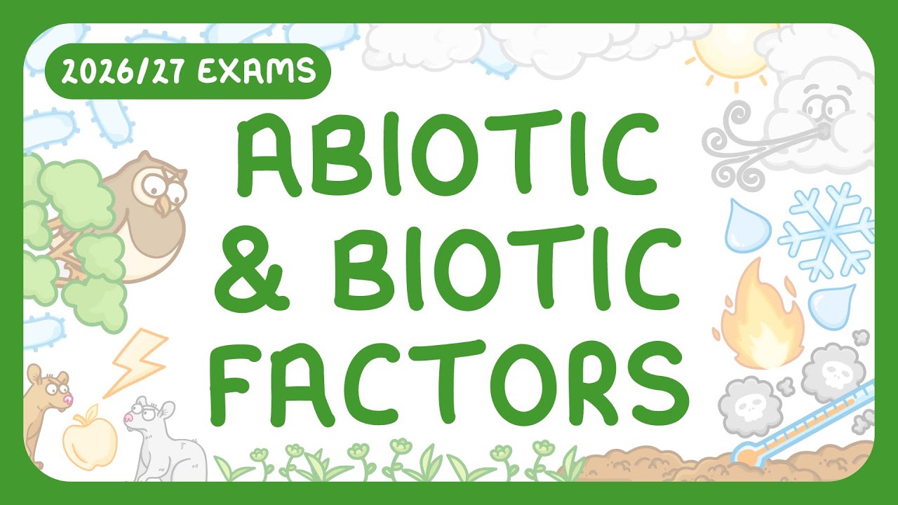 Biotic vs Abiotic Factors: Key Differences & Examples