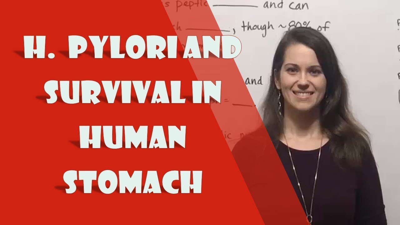 How Helicobacter pylori Survives Stomach Acid to Cause Ulcers