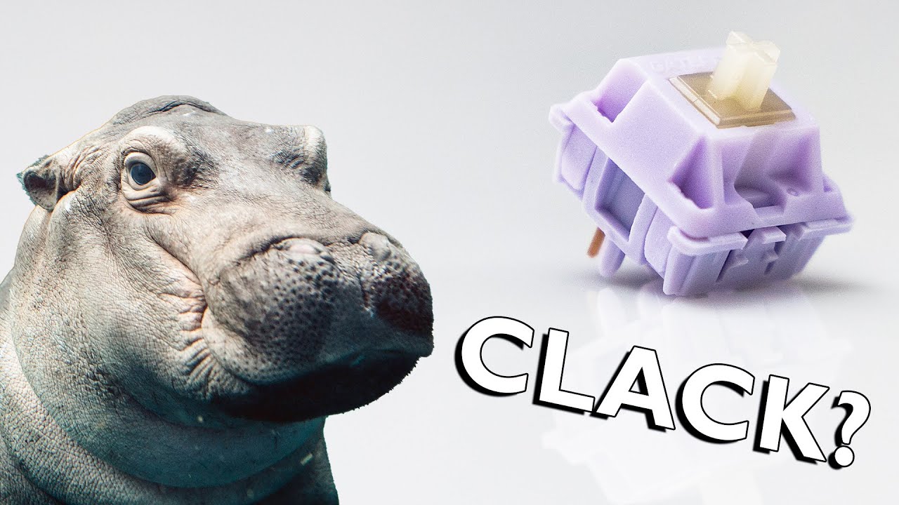 Gateron Hippo Switches Review: Smooth Linear Contenders?