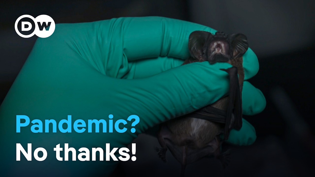 Zoonotic Disease Prevention: How One Health Strategy Saves Lives