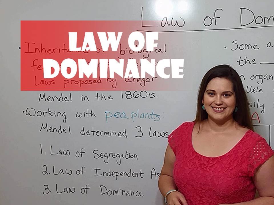 Mendel's Law of Dominance Explained with Punnett Squares
