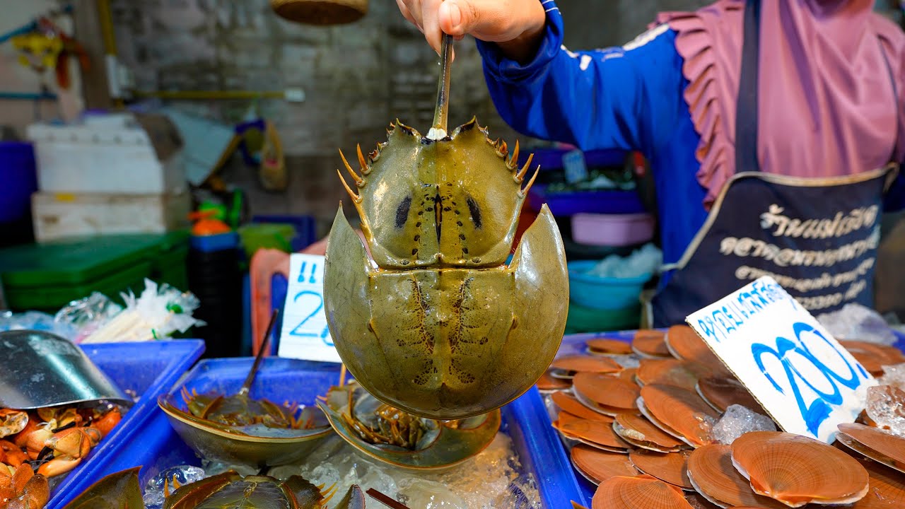 Naklua Fish Market Guide: Seafood Selection & Cooking Tips