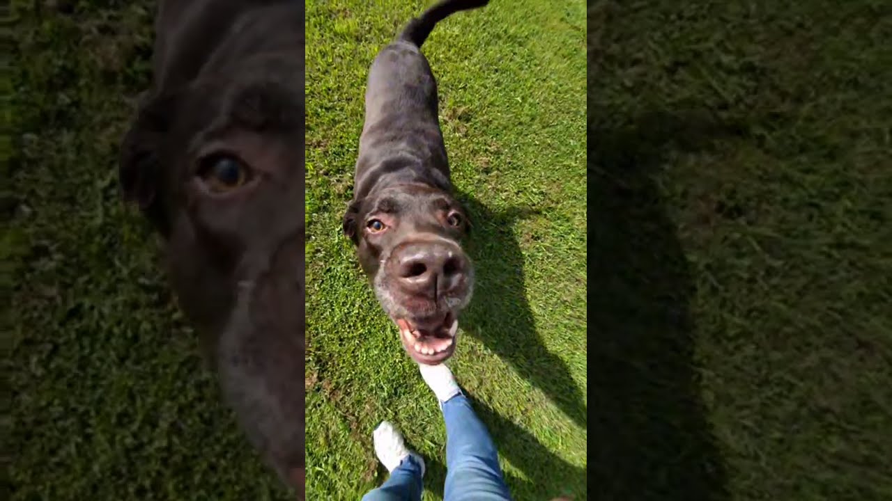 Unlock Exclusive Toy Adventures: Membership Perks Revealed